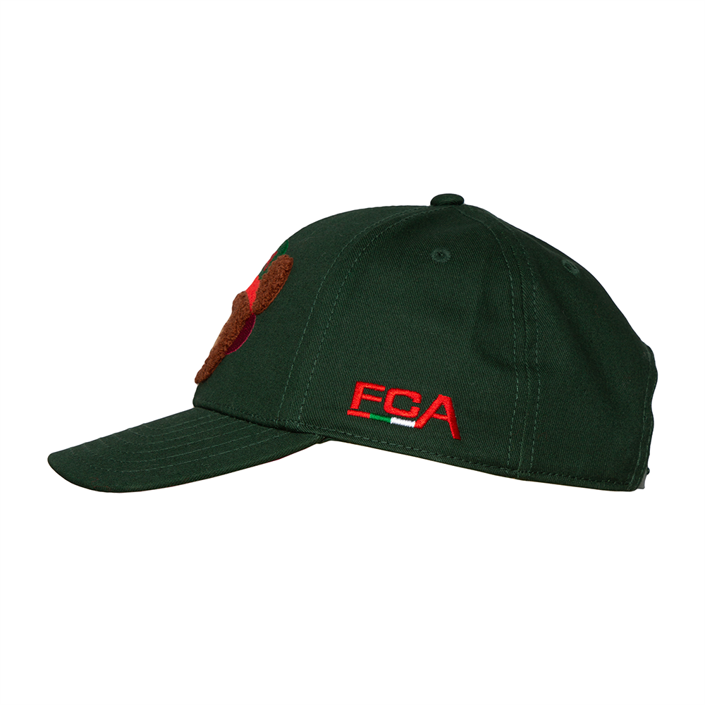 cap 1.png