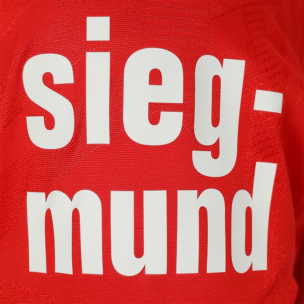 Schwabentrikot_3.jpg