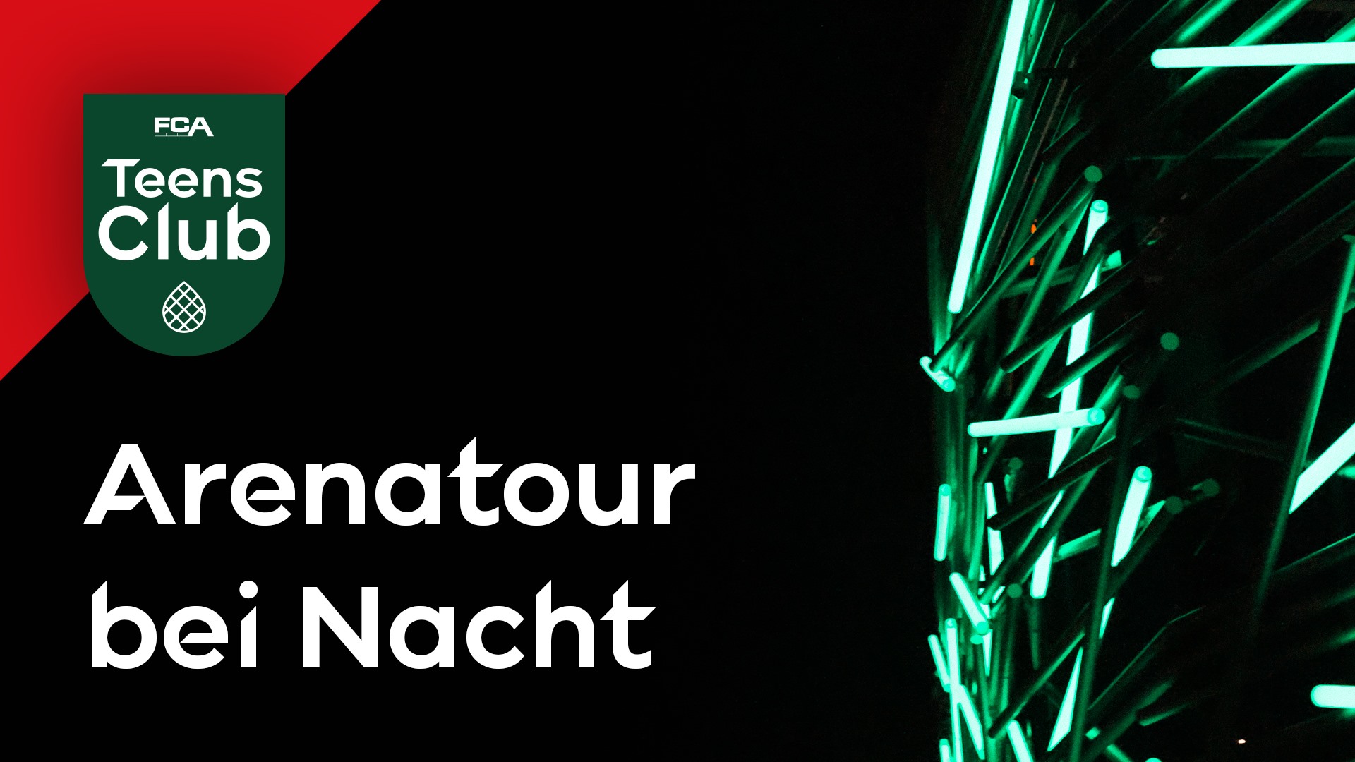 Arenatour bei Nacht