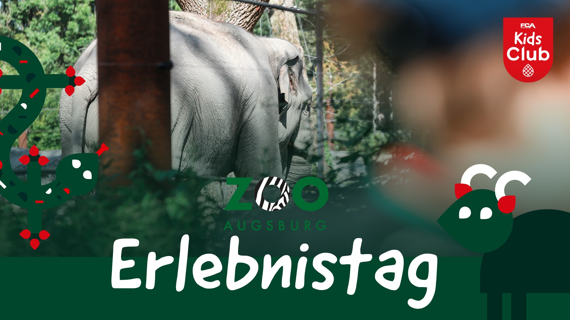 KidsClub Zoo-Erlebnistag